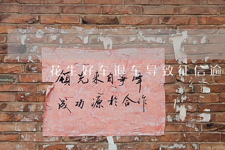 花生好车退车导致征信逾期 花生好车退车导致征信逾期