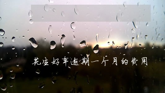 花生好车逾期一个月的费用 花生好车逾期一个月的费用