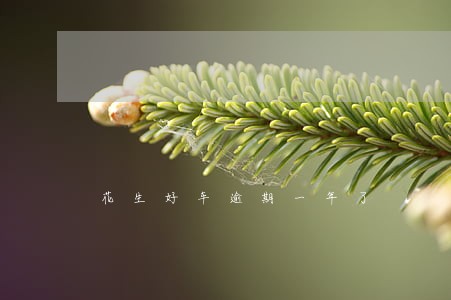花生好车逾期一年了 花生好车逾期一年了