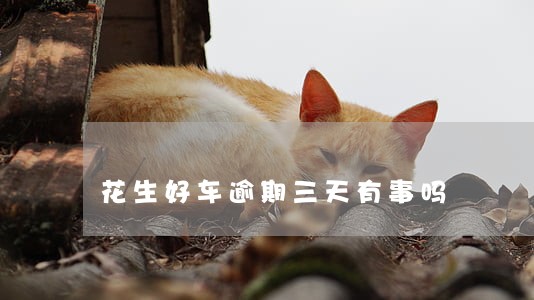 花生好车逾期三天有事吗 花生好车逾期三天有事吗