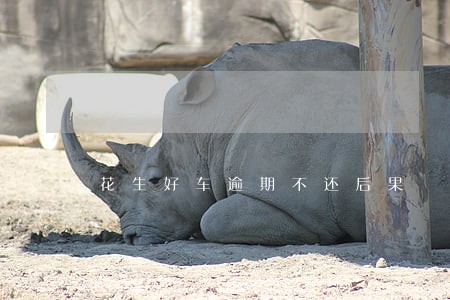 花生好车逾期不还后果 花生好车逾期不还后果