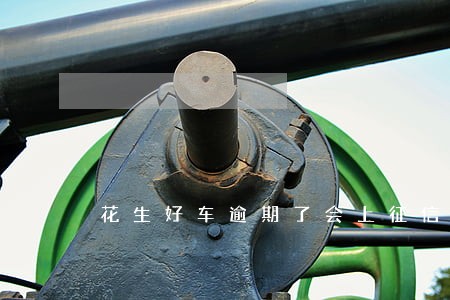 花生好车逾期了会上征信吗 花生好车逾期了会上征信吗