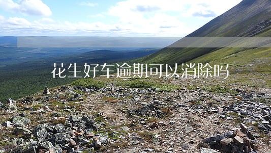 花生好车逾期可以消除吗 花生好车逾期可以消除吗
