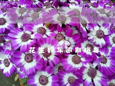 花生好车逾期拖车 花生好车逾期拖车