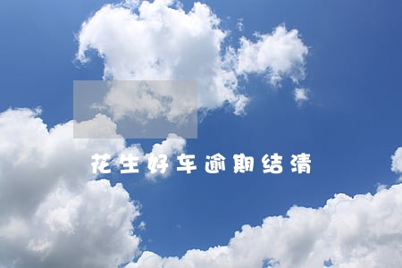 花生好车逾期结清