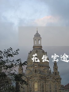 花生宝逾期催收 花生宝逾期催收