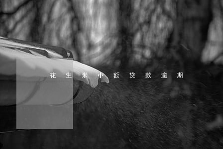 花生米小额贷款逾期 花生米小额贷款逾期