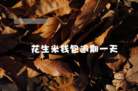 花生米钱包逾期一天 花生米钱包逾期一天