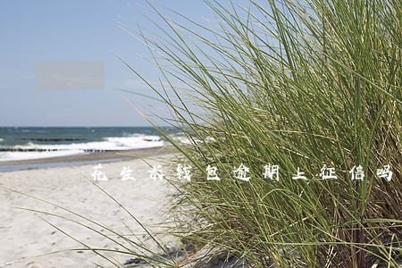 花生米钱包逾期上征信吗 花生米钱包逾期上征信吗