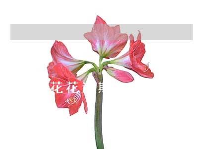 花花逾期多久爆通讯录 花花逾期多久爆通讯录