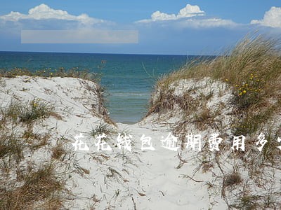 花花钱包逾期费用多少