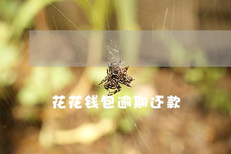 花花钱包逾期还款