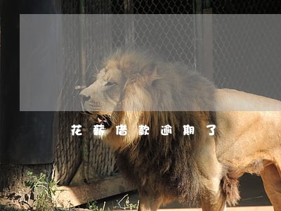 花薪借款逾期了