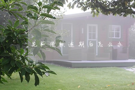 花薪借款逾期后怎么办