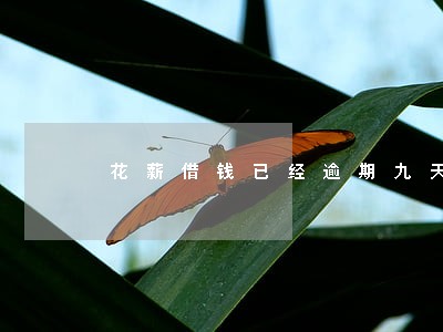 花薪借钱已经逾期九天了