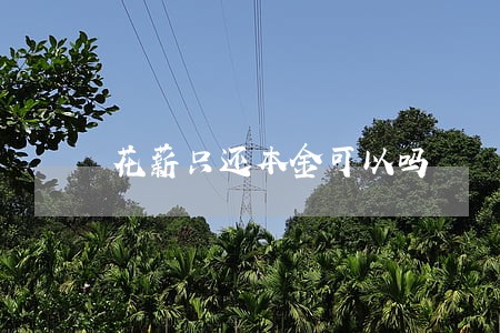 花薪只还本金可以吗