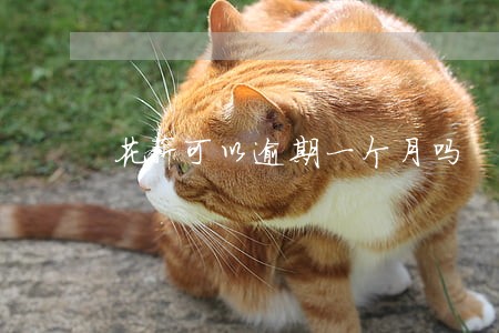 花薪可以逾期一个月吗