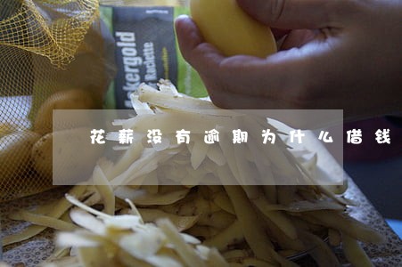 花薪没有逾期为什么借钱借不了