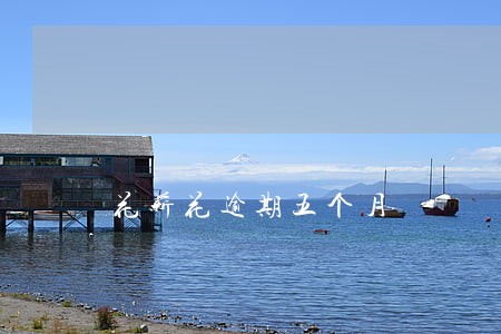 花薪花逾期五个月