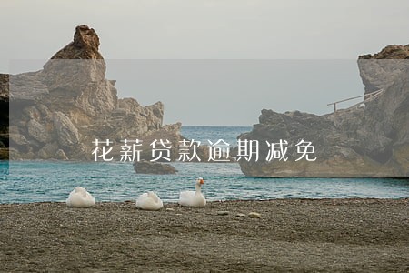 花薪贷款逾期减免 花薪贷款逾期减免