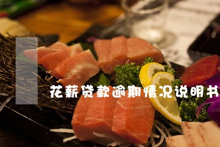 花薪贷款逾期情况说明书 花薪贷款逾期情况说明书