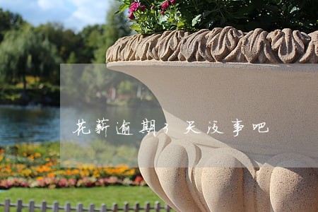 花薪逾期3天没事吧 花薪逾期3天没事吧