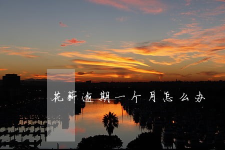 花薪逾期一个月怎么办 花薪逾期一个月怎么办
