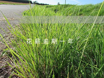 花薪逾期一年 花薪逾期一年