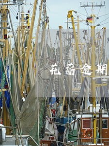 花薪逾期一年未还款 花薪逾期一年未还款