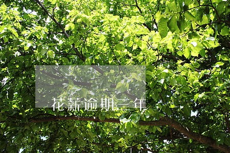 花薪逾期三年 花薪逾期三年