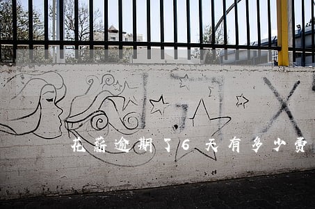 花薪逾期了6天有多少费用 花薪逾期了6天有多少费用