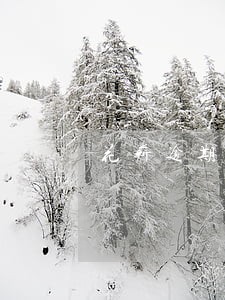 花薪逾期了不接电话会怎么样 花薪逾期了不接电话会怎么样