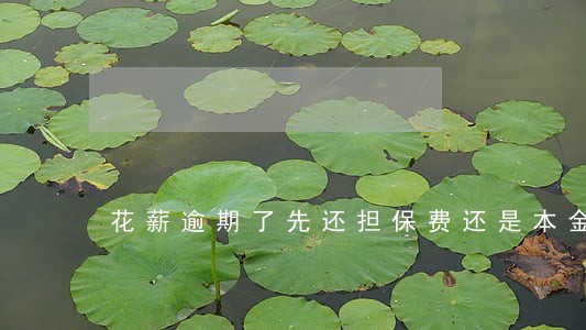 花薪逾期了先还担保费还是本金好 花薪逾期了先还担保费还是本金好