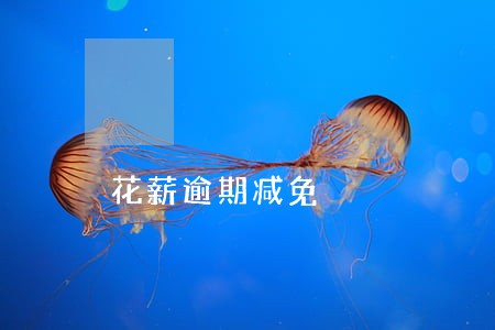 花薪逾期减免 花薪逾期减免