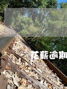 花薪逾期几天会打电话 花薪逾期几天会打电话