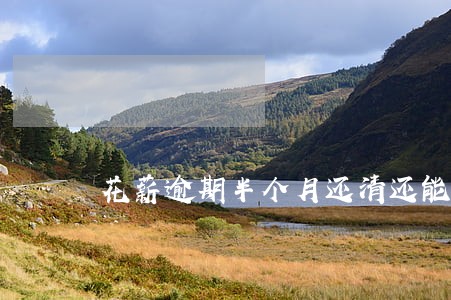 花薪逾期半个月还清还能再借吗 花薪逾期半个月还清还能再借吗