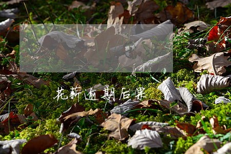 花薪逾期后果 花薪逾期后果