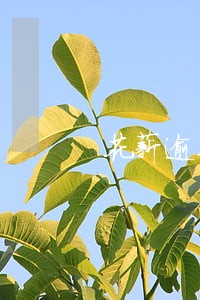 花薪逾期多久爆通讯录 花薪逾期多久爆通讯录