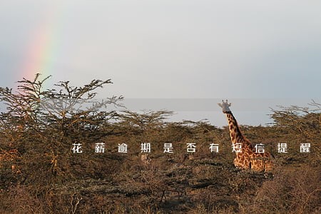 花薪逾期是否有短信提醒 花薪逾期是否有短信提醒