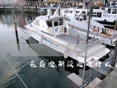 花薪逾期没还有什么后果 花薪逾期没还有什么后果
