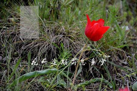 花薪逾期罚息多少 花薪逾期罚息多少