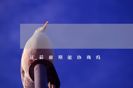 花薪逾期能协商吗