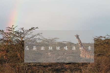 花薪逾期被爆通讯录 花薪逾期被爆通讯录