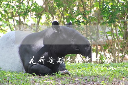 花薪逾期费能申诉吗 花薪逾期费能申诉吗