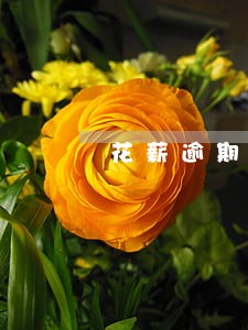 花薪逾期还了显示暂无法服务