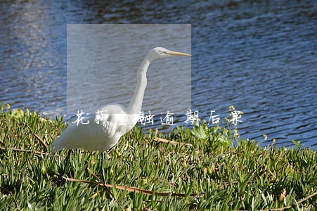 花薪金融逾期后果