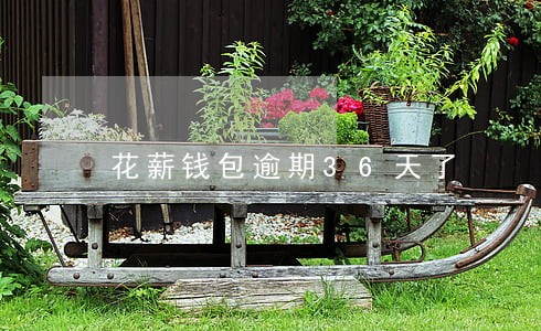 花薪钱包逾期36天了 花薪钱包逾期36天了