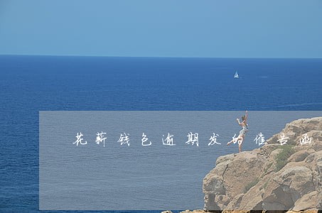 花薪钱包逾期发的催告函 花薪钱包逾期发的催告函
