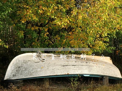 花虾金融逾期了么 花虾金融逾期了么