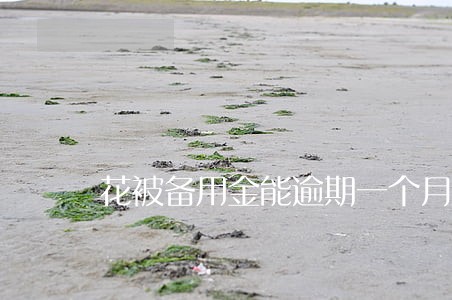 花被备用金能逾期一个月吗 花被备用金能逾期一个月吗